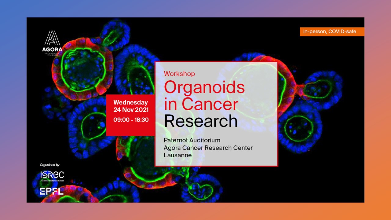 Fondation ISREC - Workshop Organoids in Cancer Research